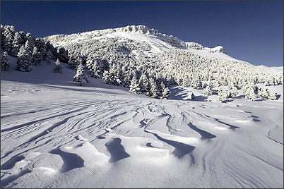 Ecrins de Lumière - Photographies de Xavier Jamonet - Photo nature - Vallon de Combau, Vercors