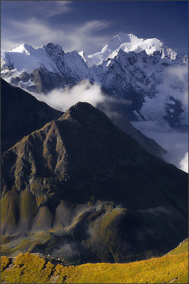 Ecrins de Lumière - Photographies de Xavier Jamonet - Photo nature - Sauterelle