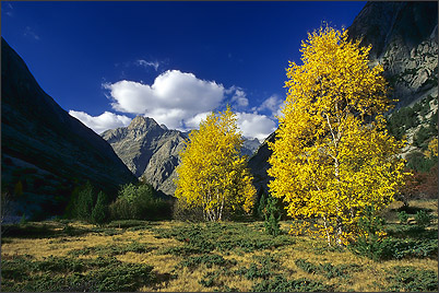 Ecrins de Lumière - Photographies de Xavier Jamonet - Photo nature - Le Carrelet, Ecrins