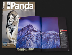 Ecrins de Lumière - Photographies de Xavier Jamonet - Publications - Panda Magazine