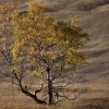 ZZ007_automne_xavier_jamonet_ecrins_de_lumiere