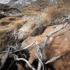 ZZ014_automne_xavier_jamonet_ecrins_de_lumiere
