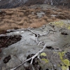 ZZ016_automne_xavier_jamonet_ecrins_de_lumiere