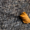 ZZ018_automne_xavier_jamonet_ecrins_de_lumiere