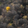 ZZ026_automne_xavier_jamonet_ecrins_de_lumiere
