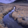 ZZ033_automne_xavier_jamonet_ecrins_de_lumiere