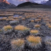 ZZ040_automne_xavier_jamonet_ecrins_de_lumiere