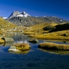 ZZ051_automne_xavier_jamonet_ecrins_de_lumiere