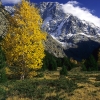 ZZ052_automne_xavier_jamonet_ecrins_de_lumiere