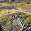 ZZ062_automne_xavier_jamonet_ecrins_de_lumiere