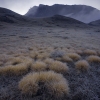 ZZ070_automne_xavier_jamonet_ecrins_de_lumiere