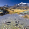 Géants de Vanoise