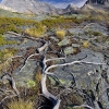 ZZ089_automne_xavier_jamonet_ecrins_de_lumiere