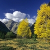 ZZ092_automne_xavier_jamonet_ecrins_de_lumiere
