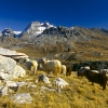 ZZ094_automne_xavier_jamonet_ecrins_de_lumiere