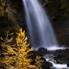ZZ100_automne_xavier_jamonet_ecrins_de_lumiere