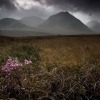 ZZ018_ecosse_xavier_jamonet_ecrins_de_lumiere