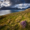 Cuillins view