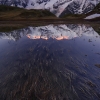 ZZ016_ete_xavier_jamonet_ecrins_de_lumiere