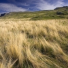 ZZ019_ete_xavier_jamonet_ecrins_de_lumiere