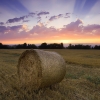 Soirée d'Eté dans la Drôme