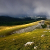 ZZ064_ete_xavier_jamonet_ecrins_de_lumiere