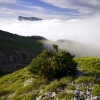 Brume sur les Hauts Plateaux