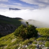 Brume sur les Hauts Plateaux