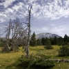 ZZ074_ete_xavier_jamonet_ecrins_de_lumiere