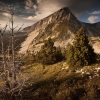 ZZ206_ete_xavier_jamonet_ecrins_de_lumiere