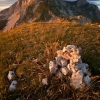 ZZ208_ete_xavier_jamonet_ecrins_de_lumiere