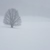 ZZ026_hiver_xavier_jamonet_ecrins_de_lumiere