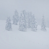 ZZ028_hiver_xavier_jamonet_ecrins_de_lumiere