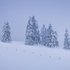 ZZ029_hiver_xavier_jamonet_ecrins_de_lumiere