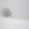 ZZ030_hiver_xavier_jamonet_ecrins_de_lumiere