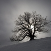 ZZ031_hiver_xavier_jamonet_ecrins_de_lumiere
