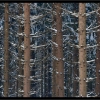 ZZ034_hiver_xavier_jamonet_ecrins_de_lumiere