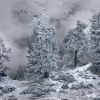 ZZ035_hiver_xavier_jamonet_ecrins_de_lumiere