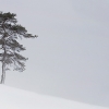 ZZ048_hiver_xavier_jamonet_ecrins_de_lumiere