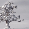 ZZ053_hiver_xavier_jamonet_ecrins_de_lumiere