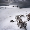 ZZ055_hiver_xavier_jamonet_ecrins_de_lumiere