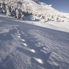 ZZ075_hiver_xavier_jamonet_ecrins_de_lumiere