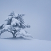 ZZ104_hiver_xavier_jamonet_ecrins_de_lumiere