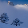 ZZ106_hiver_xavier_jamonet_ecrins_de_lumiere