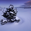 ZZ113_hiver_xavier_jamonet_ecrins_de_lumiere