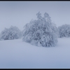 ZZ201_hiver_xavier_jamonet_ecrins_de_lumiere