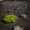 ZZ035_islande_xavier_jamonet_ecrins_de_lumiere