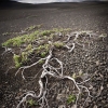 ZZ075_islande_xavier_jamonet_ecrins_de_lumiere