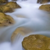ZZ006_printemps_xavier_jamonet_ecrins_de_lumiere