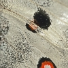 ZZ019_printemps_xavier_jamonet_ecrins_de_lumiere